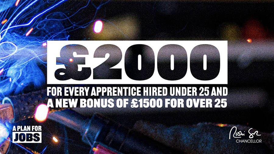 Rishi Sunak jobs plans for UK apprentices