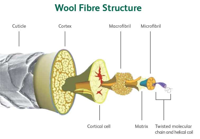 Wool fibre structure